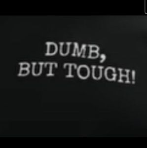 Meet your Posher, Ben